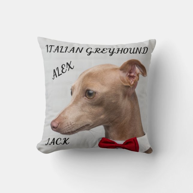 COUSSIN L'ESPÈCE ITALIENNE JETTE UN OREILLARD AVEC DES NOM (Recto)