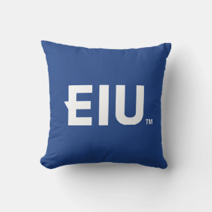Coussin LETTRE bloc EIU