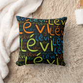 Coussin Lévi (Couverture)