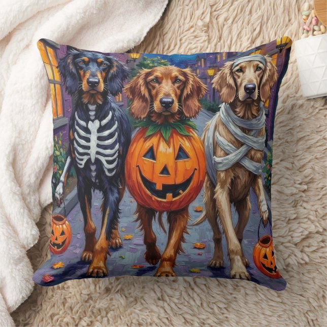 Coussin Lévriers Afghans demandant des friandises pour Hal (Couverture)