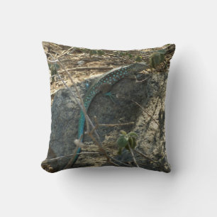 Coussin Lézard fouet de l'île d'Aruba Photographie d'anima