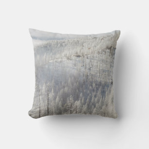Coussin L'hiver dans la forêt nationale de Pike
