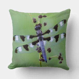 Coussin Libellule perchée sur l'herbe, Canada