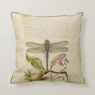 Coussin Libellule, poire, oeillet et insecte Imag antique