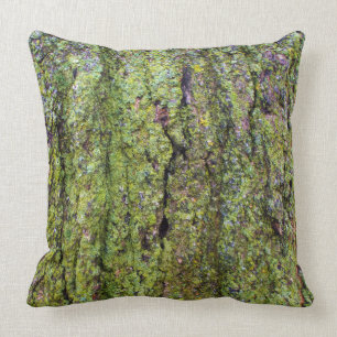 Coussin Lichen vert sur l'écorce d'arbre