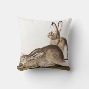 Coussin Lièvre des Rocheuses de Townsend (Lepus Townsendii
