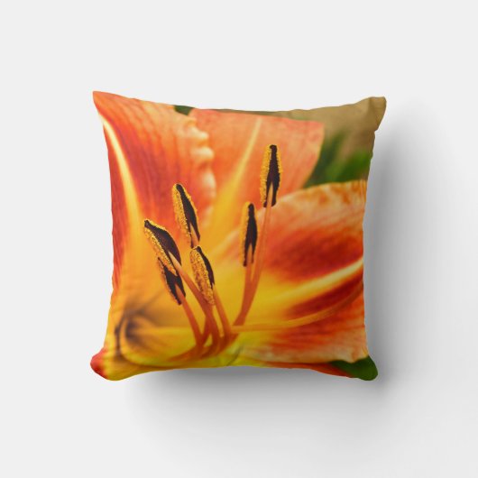 Coussin Lily Lin Tigre Orange (Recto)