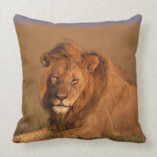 Coussin Lion