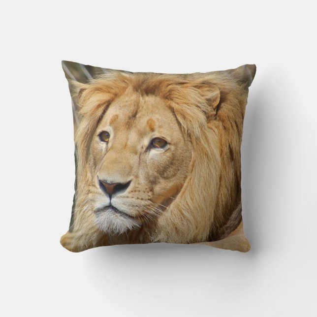 Coussin Lion (Recto)