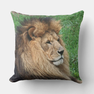 Coussin Lion 001