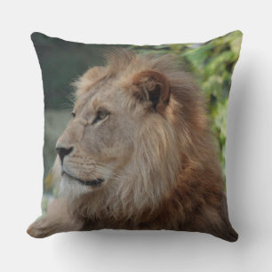 Coussin Lion 035