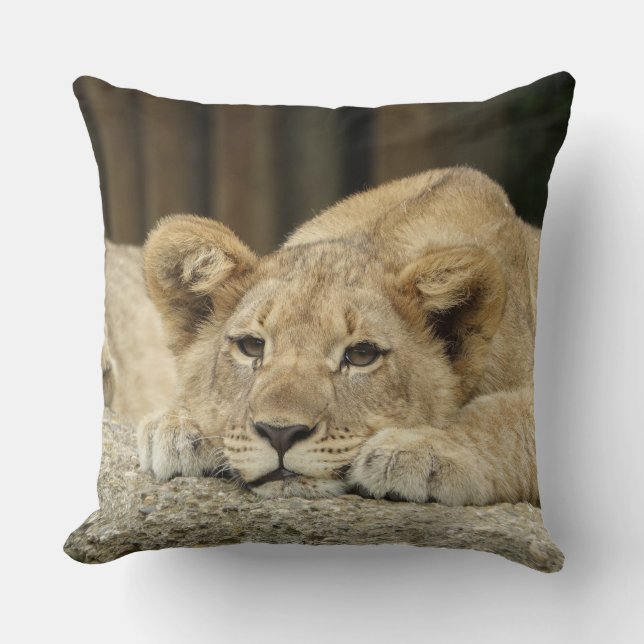Coussin Lion 040 (Recto)