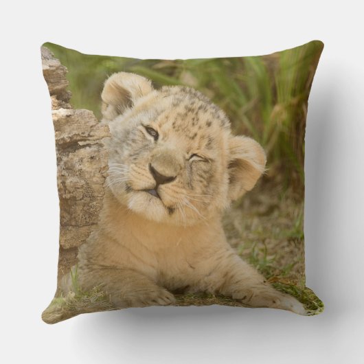 Coussin Lion Cub (Verso)