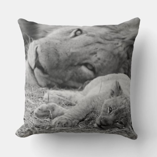 Coussin Lion CUB mignon dépendant du père (Recto)