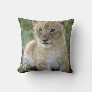 Coussin lion d'Afrique, Panthera leo), Tanzanie,