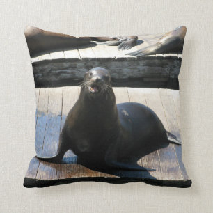 Coussin Lion de mer au quai 39 à San Francisco