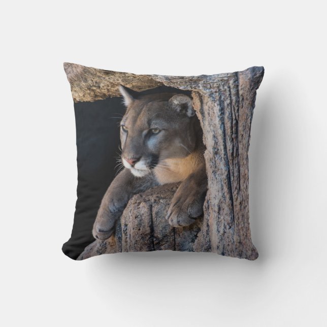 Coussin Lion de montagne dans la grotte (Recto)