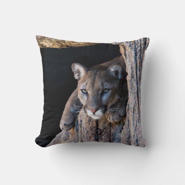 Coussin Lion de montagne dans la grotte (Recto)