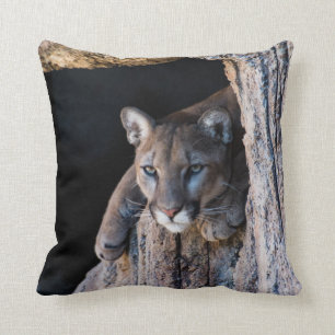 Coussin Lion de montagne dans la grotte