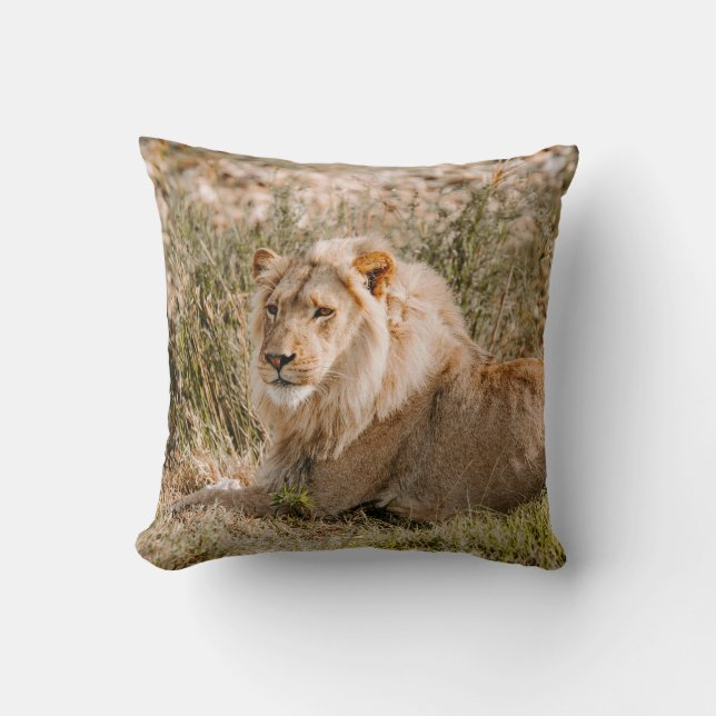 COUSSIN LION EN GRAS (Recto)