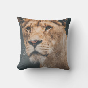COUSSIN LION FÉMININ AU JYLLAND PARK ZOO
