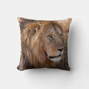 Coussin Lion réserve nationale du Maasai Mara, Kenya