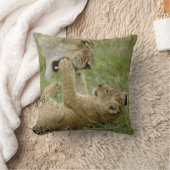 Coussin Lionceau Jouant (Couverture)