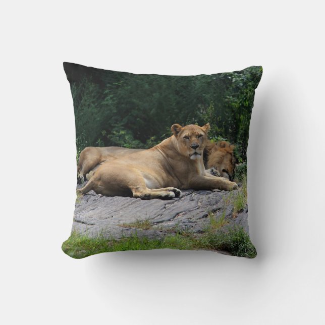 Coussin Lionne avec la photo de lion de sommeil (Recto)