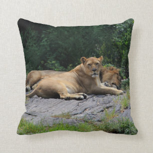 Coussin Lionne avec la photo de lion de sommeil