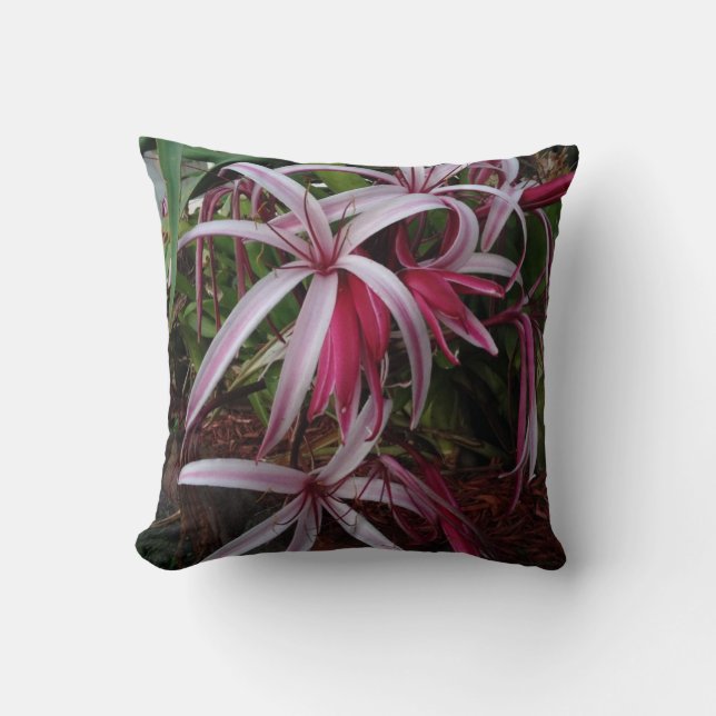 Coussin Lis pourpre de Crinum de la Reine Emma (Recto)