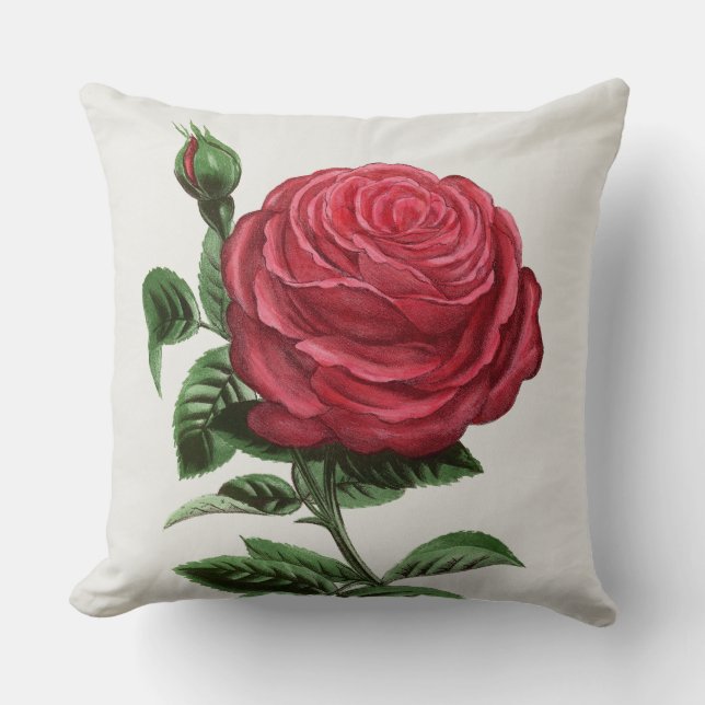 Coussin Lithographie de rose antique, François-Frédéric Gr (Recto)