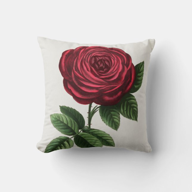 Coussin Lithographie de rose antique, François-Frédéric Gr (Recto)