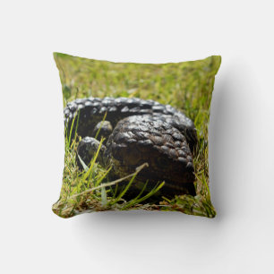 Coussin Lizard australien, épaisse langue bleue