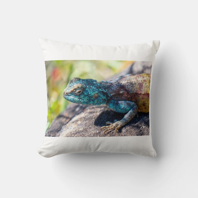 Coussin Lizard Fourre-tout multicolore (Recto)