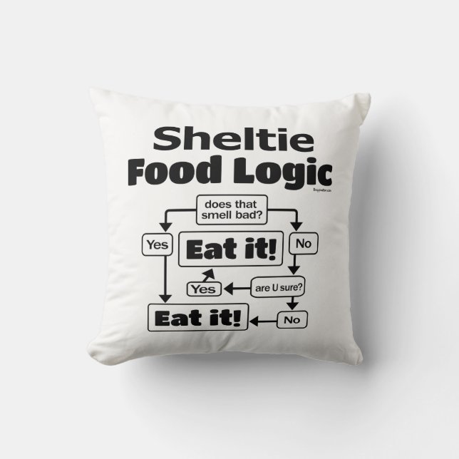 Coussin Logique alimentaire de Shelty (Recto)