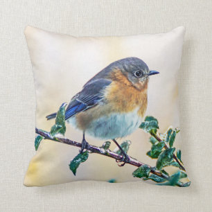 Coussin L'oiseau bleu oriental sur la glace a couvert le