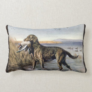 Coussin lombaire vintage de chien d'eau