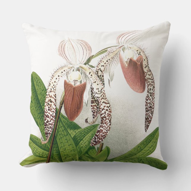 Coussin L'orchidée botanique de Cypripedium fleurit le (Recto)
