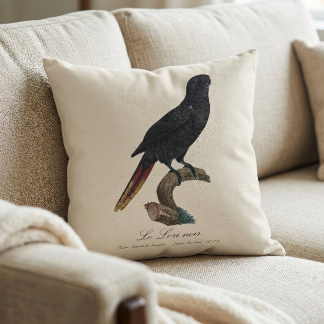 Coussin Lori noir ou Lori à bec rouge, Chalcopsitta atra (Black Lory or Red-Quilled Lory, Chalcopsitta atra. Throw Pillow)