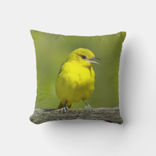 Coussin Loriole des vergers - Photographie originale