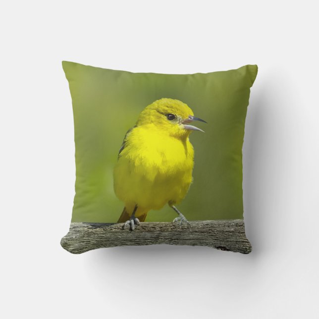 Coussin Loriole des vergers - Photographie originale (Recto)