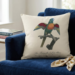 Coussin Loriquet à tête bleue, Trichoglossus haematodus