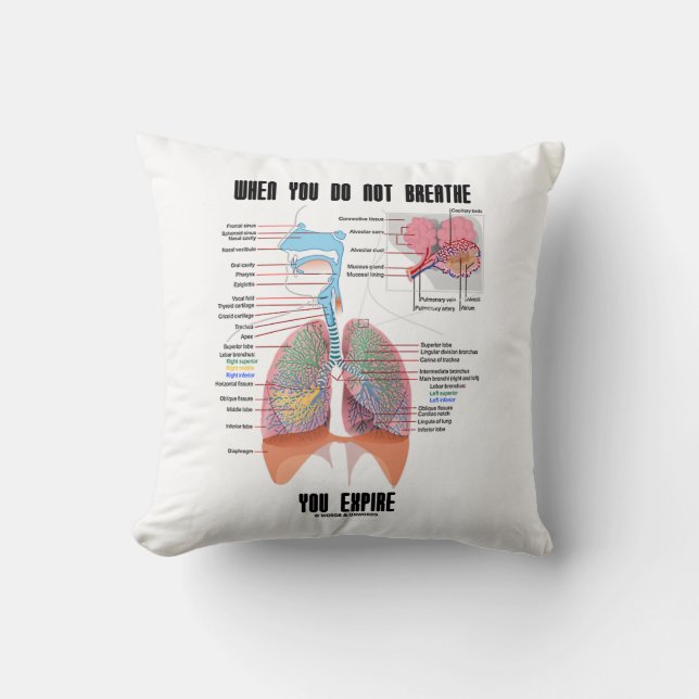 Coussin Lorsque Vous Ne Respirez Pas Le Système Respiratoi (Recto)