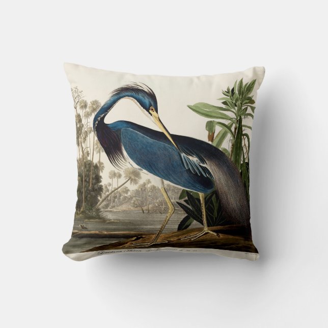 Coussin Louisiana Heron, 1834, From the Birds of America (Recto)