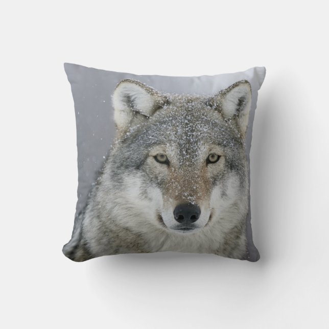 Coussin Loup gris (Recto)