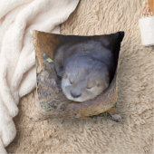 Coussin Loutre de bébé (Couverture)