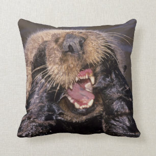 Coussin Loutres de mer, Enhydra lutris 6