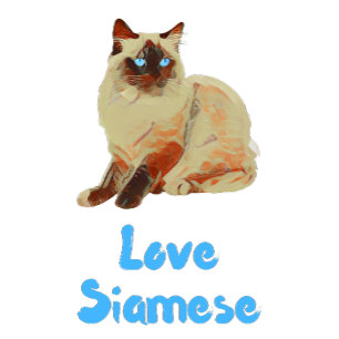 Coussin Love Siamese Cats