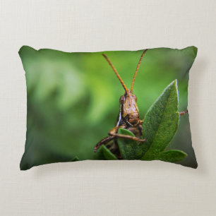 Coussin Lumbar 13 pouces x 21 pouces