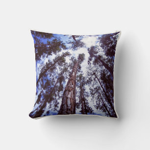 Coussin Lumière du soleil à travers les Ponderosas Jetez l